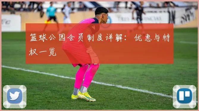 篮球公园会员制度详解：优惠与特权一览