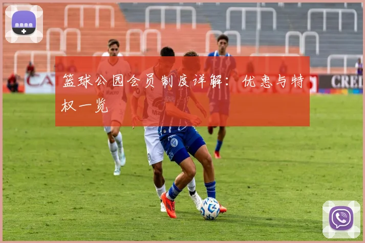 篮球公园会员制度详解:优惠与特权一览